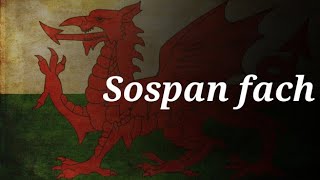 Sospan fach  Welsh Folk Song [upl. by Daiz436]