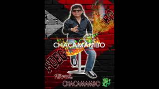 TEMACHACAMAMBO 🐲🔥FUEGOCABALLETO [upl. by Dhu928]