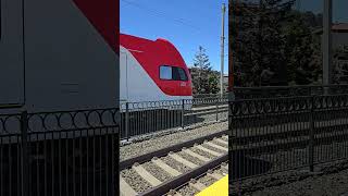 Caltrain Stadler Kiss EMU bell sound effect caltrain [upl. by Herwig223]