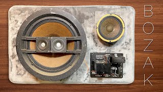 You May Be Surprised Whats Inside This 1950s Speaker • Bozak B302 Gem • P1 [upl. by Portwine]