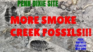 More Smoke Creek Trilobites Penn Dixie Dig with the Experts Fossil Hunting amp Collecting with Chris [upl. by Wack]