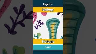 🇬🇧🇩🇪 biology  Biologie  vocabulary builder  learn English  Lernen wir Englisch [upl. by Lemahs]