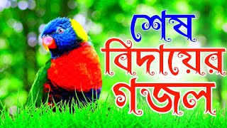 শেষ বিদায়ের মন প্রাণ উজাড় করা সেরা গজল বাংলা গজল gojol  Bangla gojol 2024  gojol Bangla [upl. by Ecnerat]