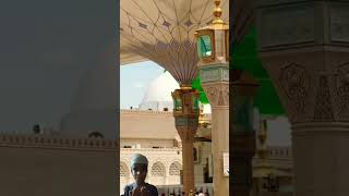 Madina mkka madina funnyreels cute muftisalmanazhari [upl. by Arlee]