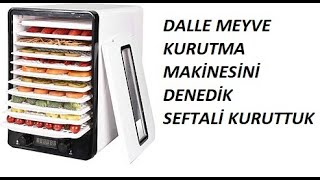 DALLE MEYVE KURUTUCU İLK DEFA ÇALIŞTIRDIK [upl. by Ocirema163]