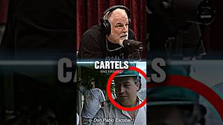 US Army VS Mexican Cartels Who Wins  JRE Podcast w John Mcphee 🇺🇸 army cartel podcast [upl. by Aivato]