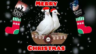 Racing pigeons Christmas books Jim Emerton [upl. by Llednol]