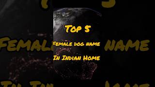 Top 5 Female Dog Names shorts dog dognames doglover animallover [upl. by Eadwina602]