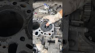 Engine 2kd Toyota Check pistonvideoshort [upl. by Rector]