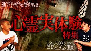 【実話怪談】視聴者から届いたリアルな怪談SP【ナナフシギ】【怖い話】【生フシギ総集編23】 [upl. by Nachison]