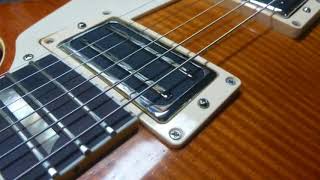 Lollar dB Humbuckers [upl. by Kcirneh]