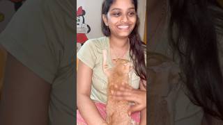 Love magnets ❤️ love you chinnoda oldvideoshortsfeedcatcatloverytshortspetloverpets [upl. by Rahman]