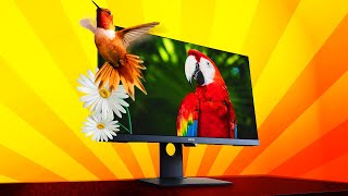 Best Designer Monitor  BENQ PD2700U 4K IPS Monitor Review [upl. by Evreh550]