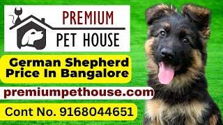 german shepherd price in bangalore  German Shepherd for Sale In Bangalore  Premium Pet House [upl. by Reemas]