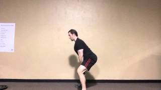 Plate Swings with Dr Joel Seedman [upl. by Annmarie]