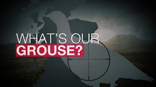 Whats Our Grouse [upl. by Goldie]