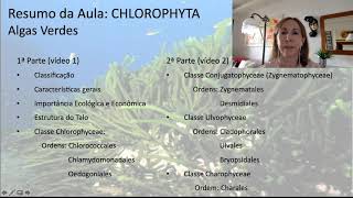 Chlorophyta parte 2 [upl. by Arvell]