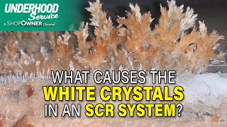 What Causes the White Crystals in an SCR System [upl. by Perron]