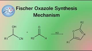 Fischer Oxazole Synthesis Mechanism  Organic Chemistry [upl. by Heins698]