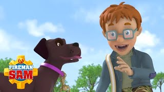 Norman Super Awesome New Dog  Fireman Sam US Classic  Cartoons for Kids [upl. by Llerdnek989]