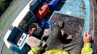 Mudcrabbing tips for most crabbers Queensland Australia [upl. by Chevy]