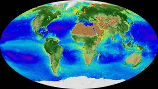 NASA 20 Years of Global Biosphere [upl. by Nyltac603]