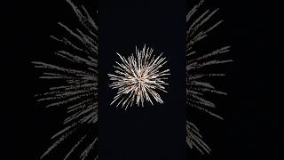 3quot Insignia from Maan Fireworks diwali2024 diwali crackerstesting diwalicelebration shorts [upl. by Tisha]