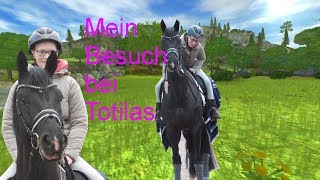 Mein Besuch bei Totilas Februar 2017 [upl. by Edyth]