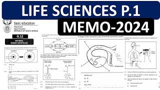 MEMO 2024 LIFE SCIENCES P1 GRADE 12 2024 LIFE SCIENCES GRADE 12 MEMO 2024 NOVEMBERTHUNDEREDUC [upl. by Partan412]