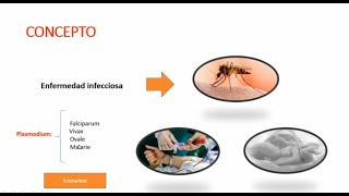 MALARIA PEDIATRIA [upl. by Marcello416]