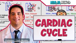 Cardiovascular  Cardiac Cycle [upl. by Themis]