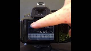 How To Change ISO On A Nikon D5200  One Method shorts nikond5200 dslrcamera camerasettings [upl. by Vinson]