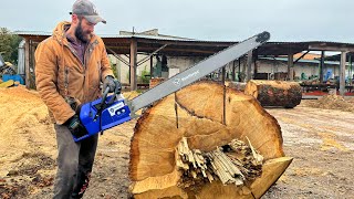 Holzfforma G888 vs big oak log [upl. by Scriven]