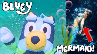 Bluey and Bingo Magical Cruise Adventure Scuba Diving Buried Pirate Treasure Mermaids and more [upl. by Kudva198]