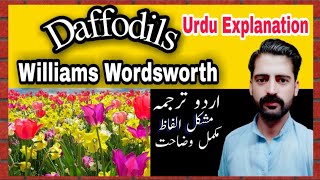 Daffodils By William wordsworth Urdu Translation Easy Explanations and Vocabulary  Muzaffar Sultan [upl. by Nauqal387]