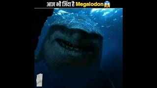 क्या आज भी जिंदा है ये Megladon Shark🦈😱  Biggest Shark In Ocean  shorts ocean [upl. by Hotze]