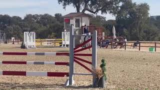 SF OMG Paso Robles Meter Classic Round 1  Nov 2024 [upl. by Edme]