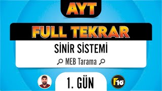 MEB Biyoloji Kitabı Sinir Sistemi Taraması F10 Full Tekrar Kampı [upl. by Weinreb]