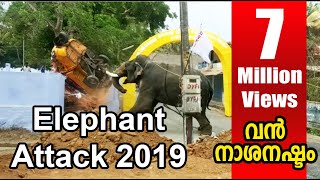 elephant attack kerala 2019 april kuzhalmannam [upl. by Sochor]