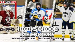 BenildeSt Margarets vs Andover  High School Boys Ice Hockey Live 2024 [upl. by Auqkinahs]