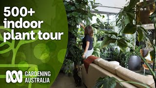 Huge 500 indoor plant collection tour and plant care tips  Indoor plants  Gardening Australia [upl. by Cooley]