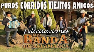 Los Banda Jr De Salamanca Sus Mejor Canciones 💥 Puros Corridos Norteños Mix 💥 [upl. by Reimer950]