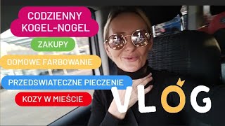 CODZIENNY KOGELMOGEL MIASTOWE KOZY [upl. by Dowlen]