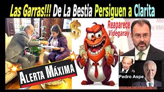 Cuidado La Bestia se Acerca Hambrienta de Dinero Clarita Regresa Videgaray [upl. by Atworth]