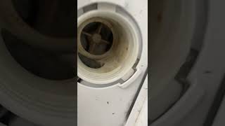 Tutorial how to do the filter on a beko WMBWM washing machine [upl. by Ahsikan]