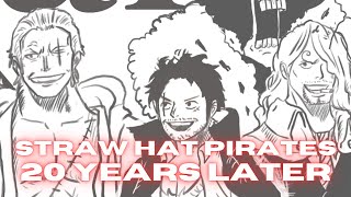 Old Luffy Sanji and Zoro One Piece after 20 years [upl. by Adnovahs993]