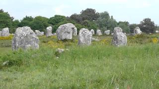 carnac stones and wonderful wild flowers [upl. by Raynor]