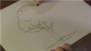 Nature Drawings  How to Draw a Walnut Tree [upl. by Simson]