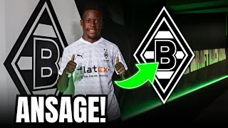 SENSATIONELLE RÜCKKEHR Denis Zakaria wieder im BORUSSIATRIKOT  NACHRICHTEN VOM DIE FOHLEN [upl. by Lina]