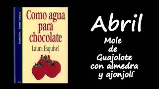 412 Audiolibro Como Agua para Chocolate de Laura Esquivel  AbrilMole de Guajolote con almendra [upl. by Herrick]